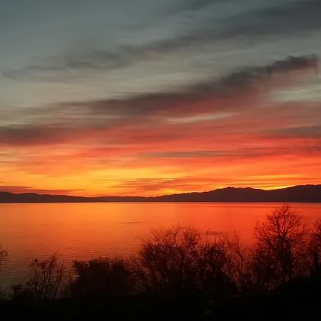 Emma كوسترينا